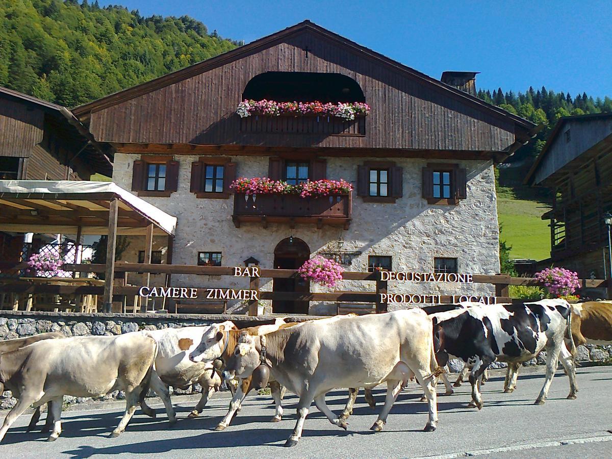 Albergo Pa' Krhaizar Sauris Exterior photo